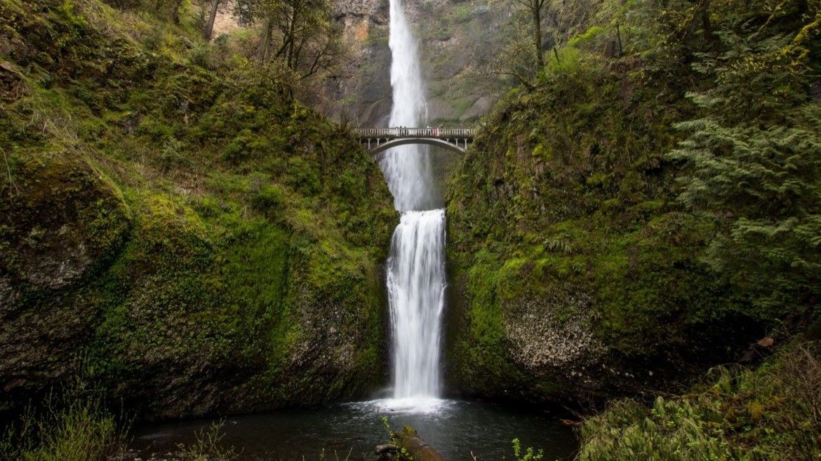 Multnomah Falls cascades down a lush, green cliff with a historic stone bridge spanning the middle section.