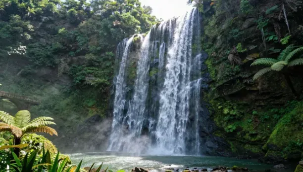 Lush tropical waterfall cascading into a misty pool, surrounded by dense green jungle and ferns