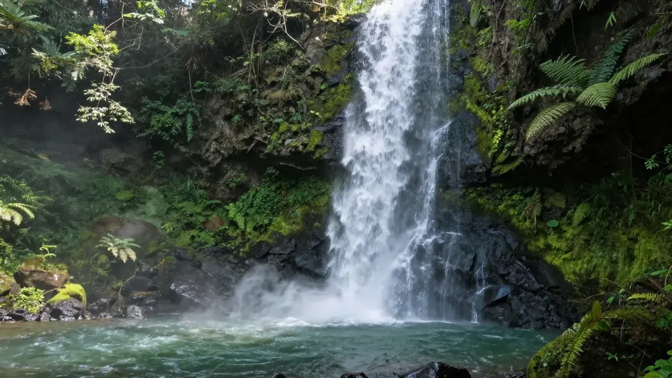 Waterfall cascading into a turquoise pool amid lush green tropical foliage