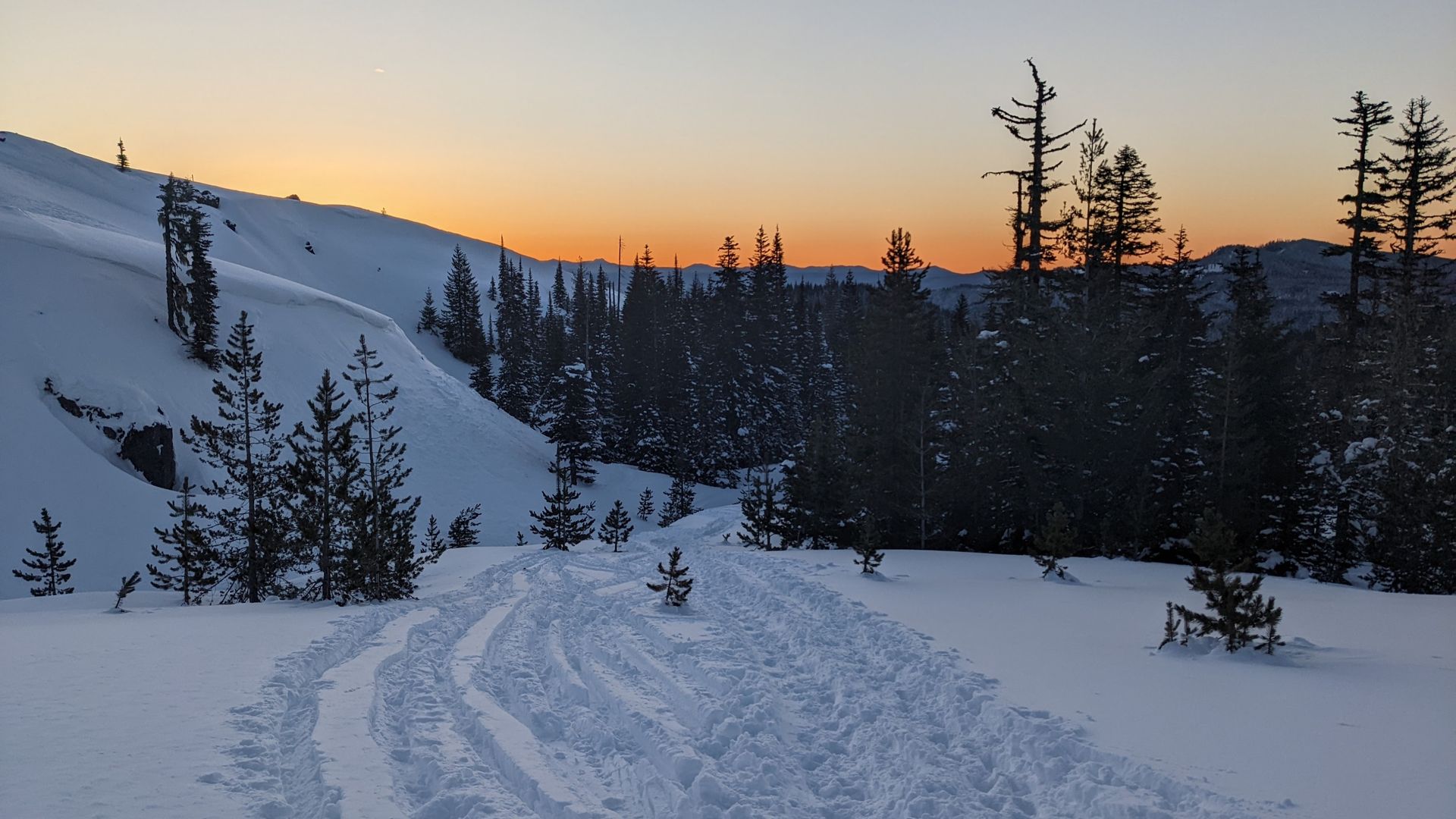Snowy forest landscape at dusk with tire tracks leading into a treeline against an orange and blue gradient sky.