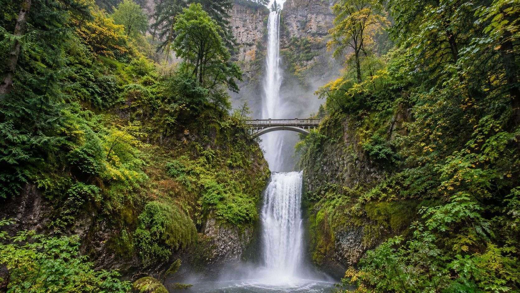 Lush green gorge with two cascading waterfalls and a narrow bridge spanning between them
