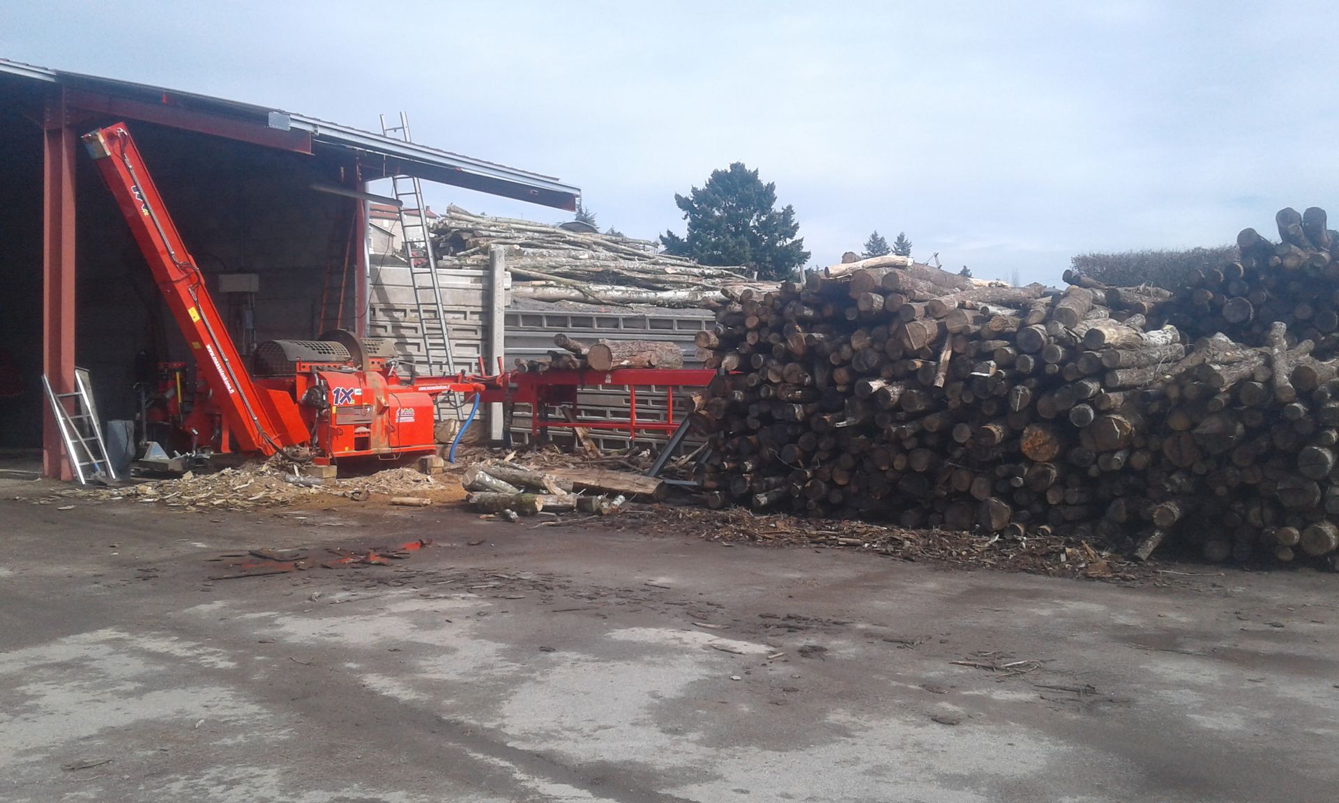 Pile de bois de chauffage dans l'entrepôt de l'entreprise