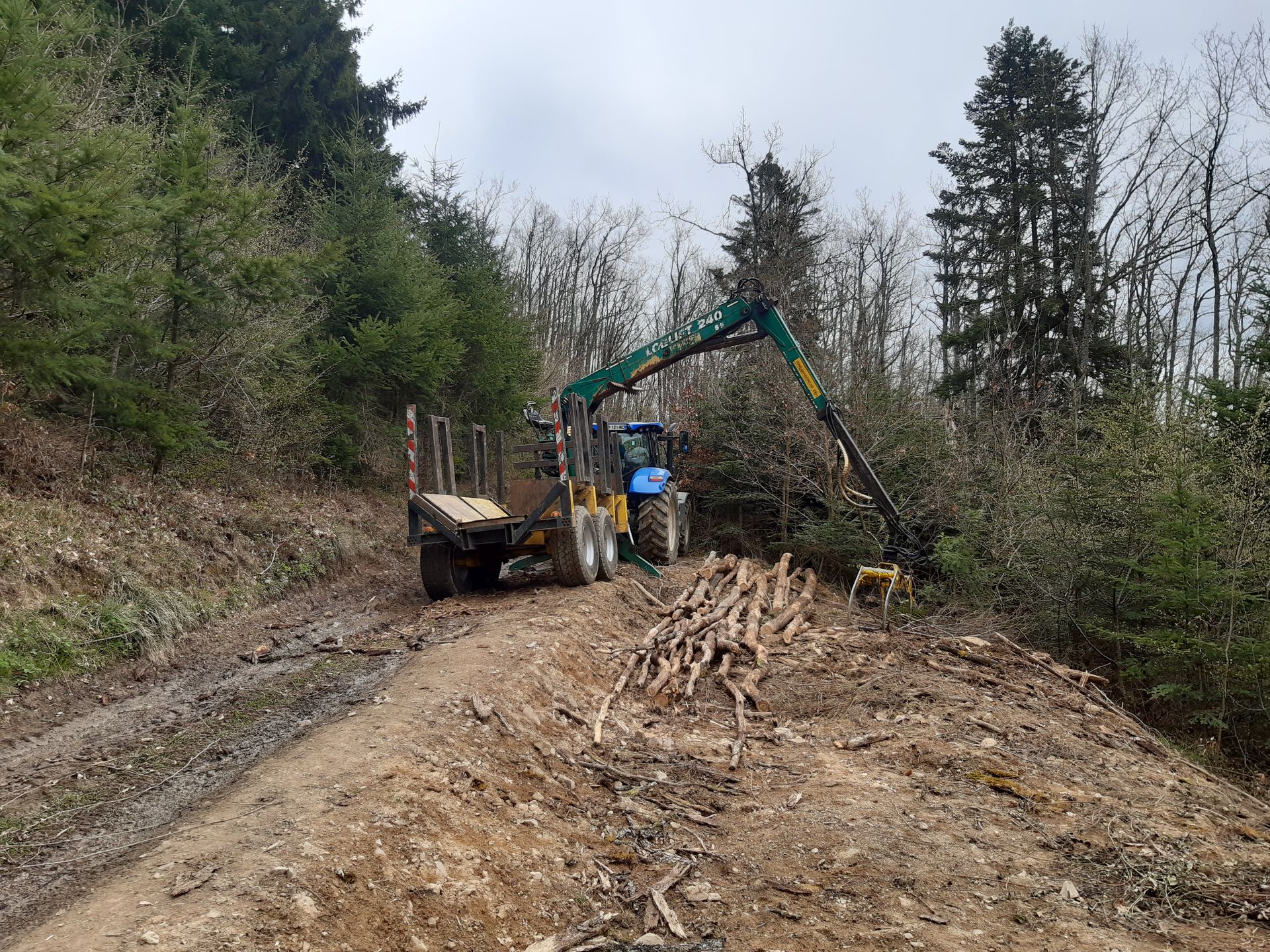 Production de bois de chauffage grâce à une intervention de débardage