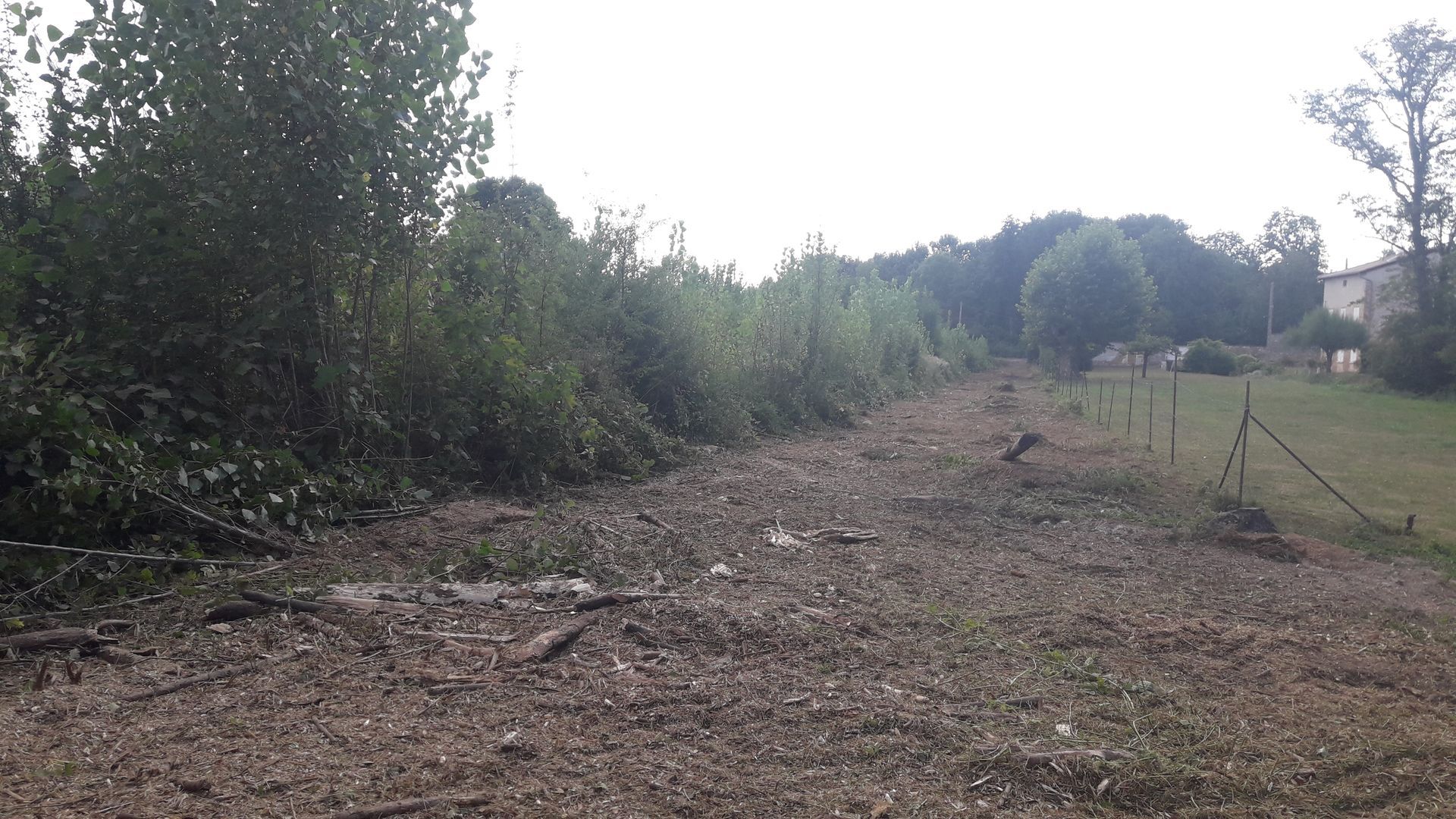 Broyage de végétaux dans un champ