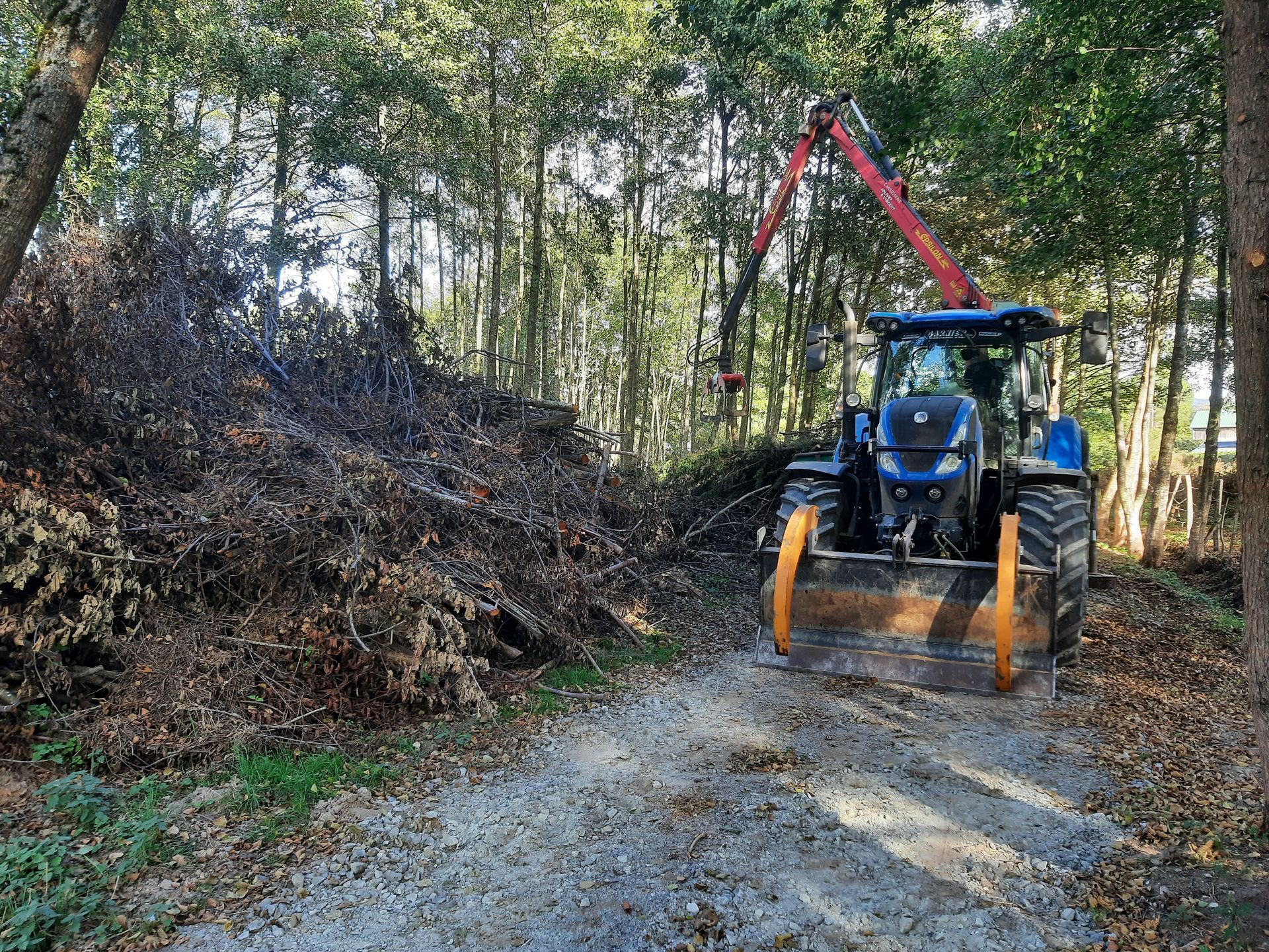Déchiquetage de bois qui sera transformé en bois de chauffage