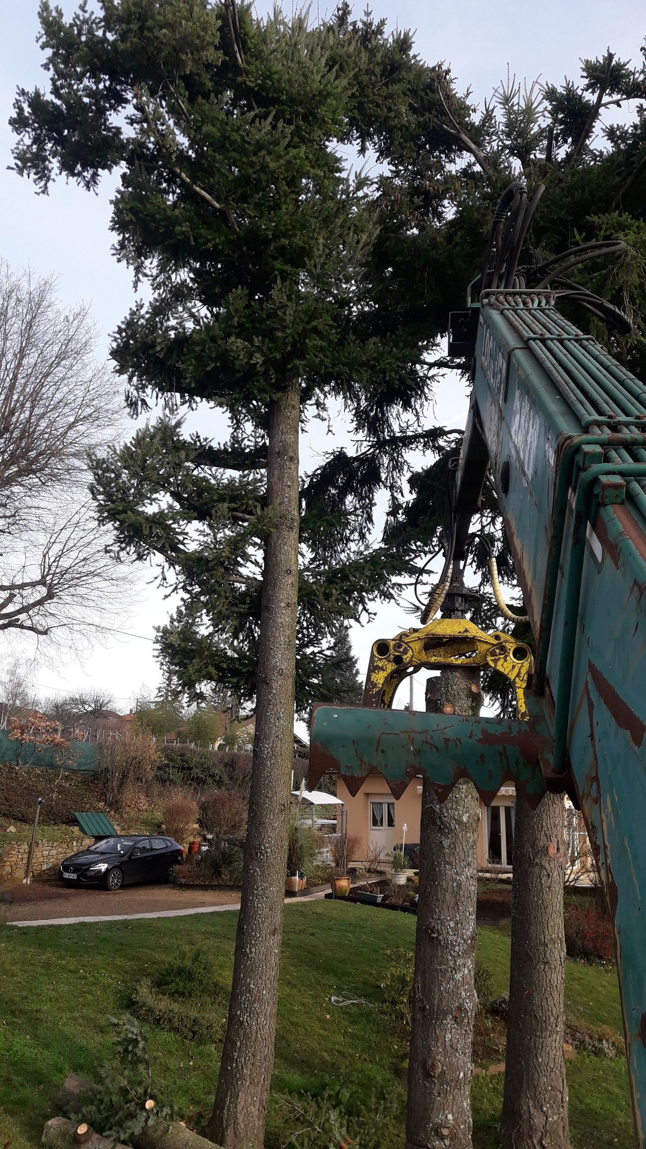 Élagage avec un grappin en gros plan