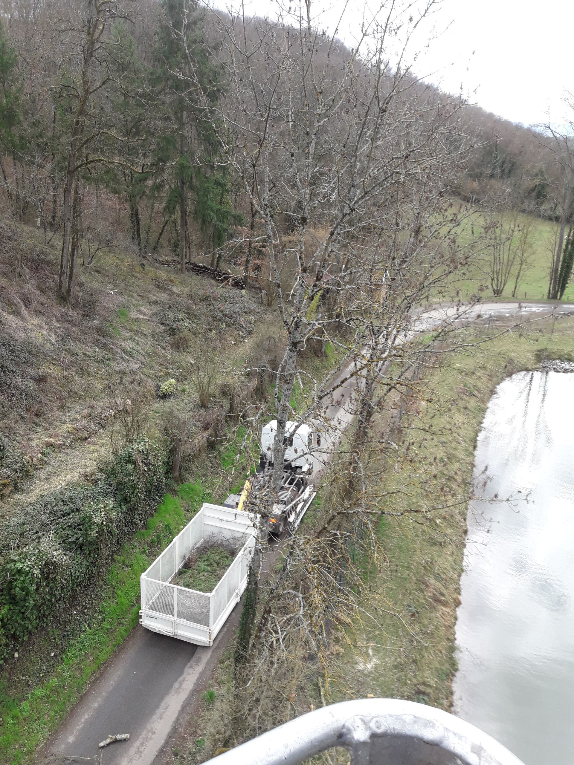 Vue aérienne d'un élagage d'arbre depuis une nacelle