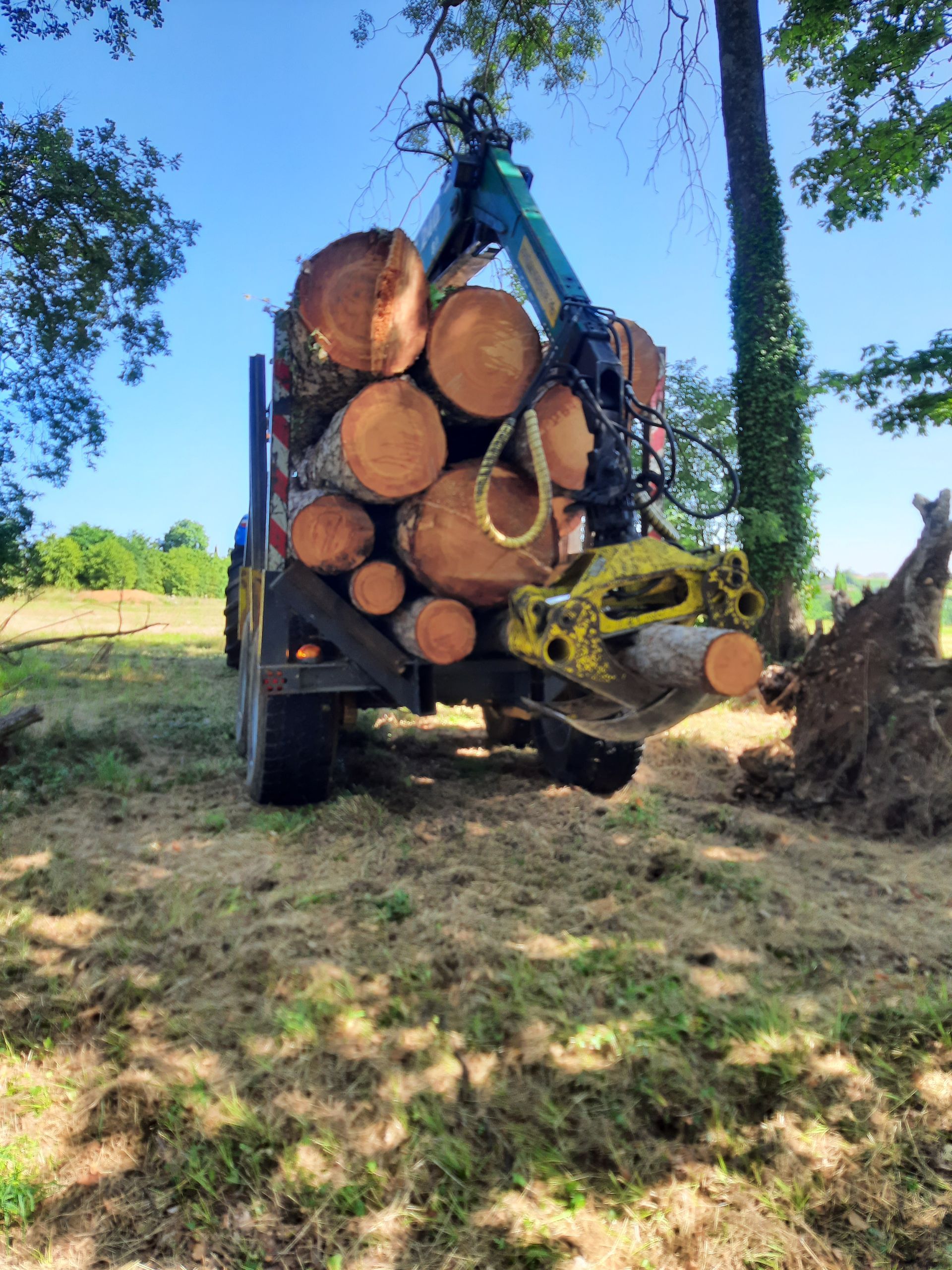 Transport de gros tronc qui sera transformé en bois de chauffage