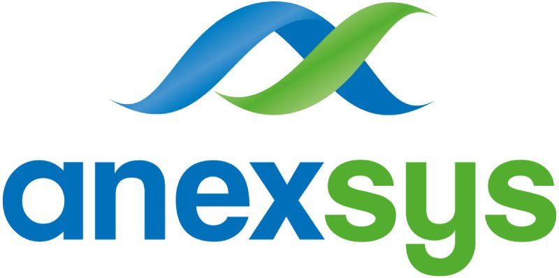 Ein blau-grünes Logo für ein Unternehmen namens Anexsys