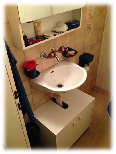 Sanitäre Installation | Hug AG | Roggwil BE