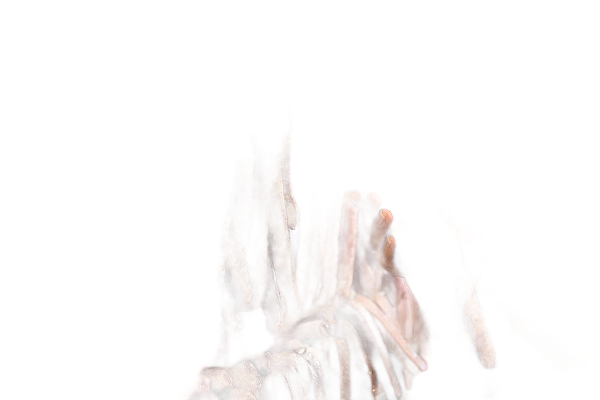 Eine Hand greift nach Strängen getrockneter Wurst, die in einem Laden hängen.