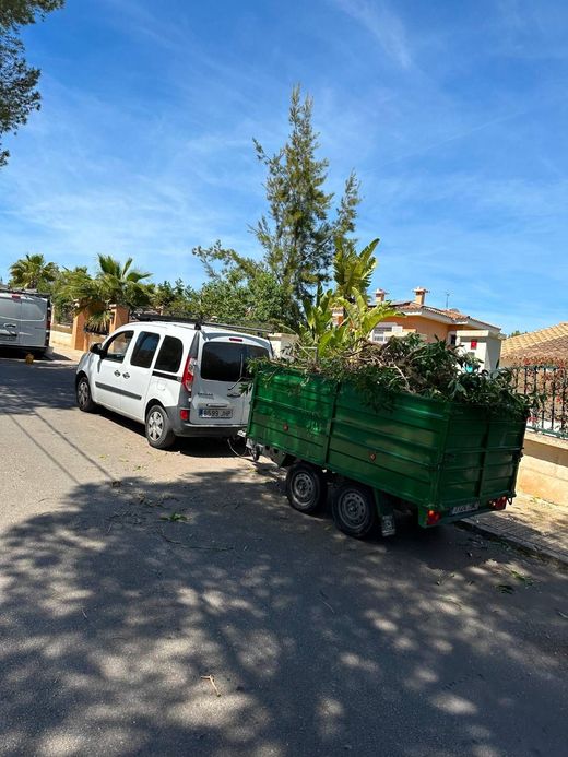 Un primer plano de un exuberante césped verde y arbustos en un jardín.