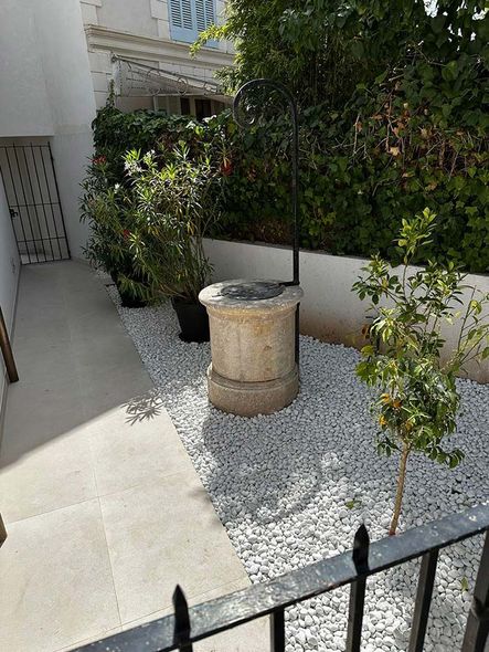 Plantas