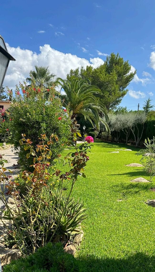 Un hombre está arrodillado en un jardín cortando un arbusto con una cortadora de setos.