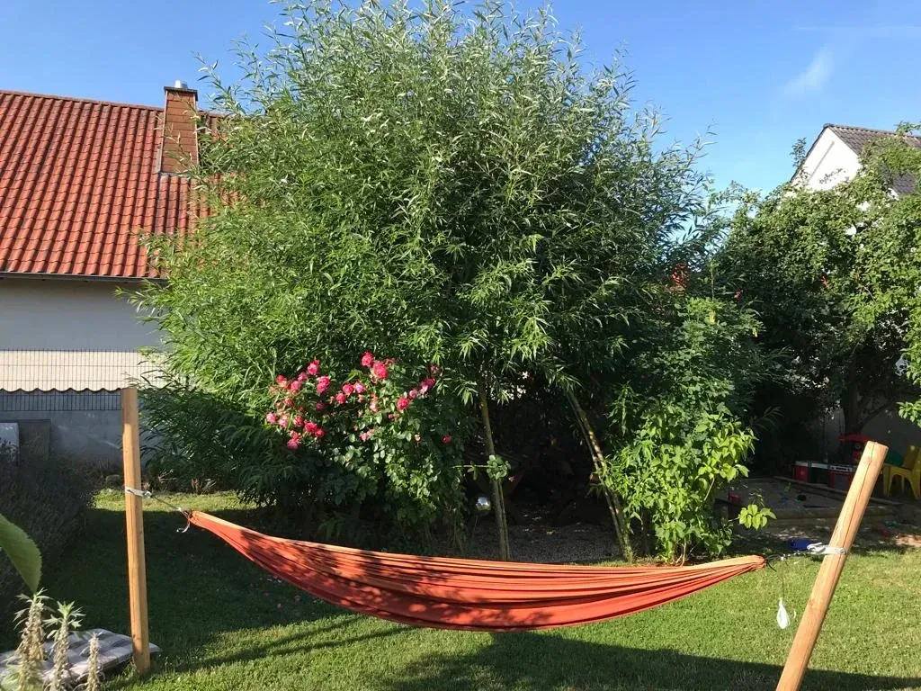 Eine rote Hängematte liegt im Gras vor einem Haus.