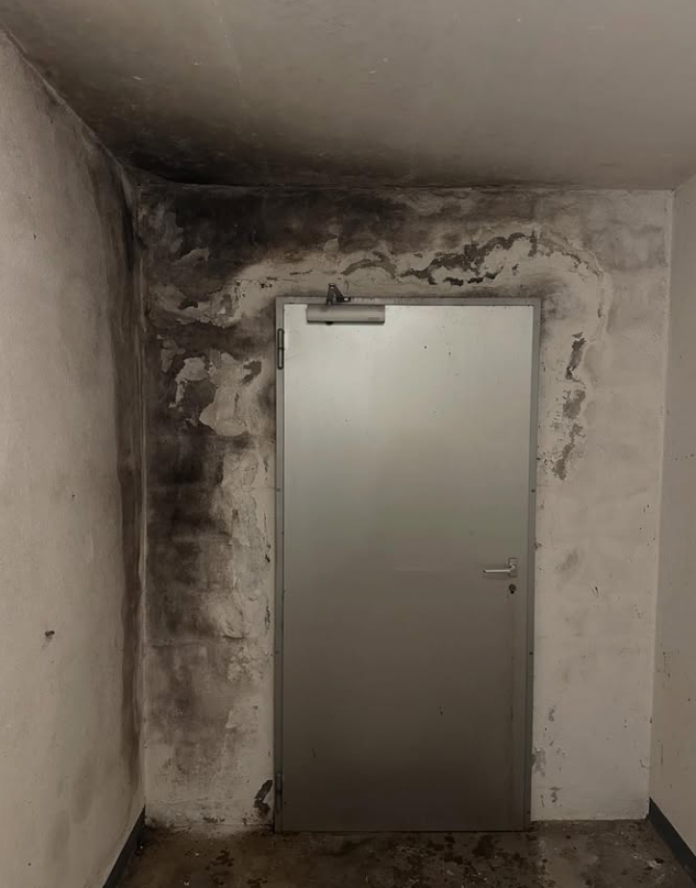Une porte dans une pièce endommagée par l'eau ; des moisissures foncées tachent les murs et le plafond.