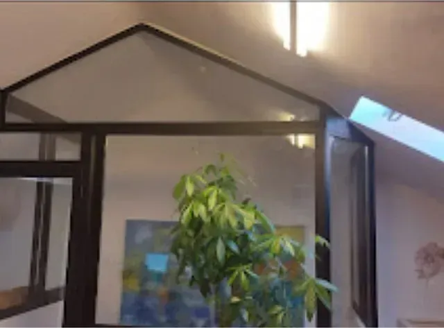 Una planta alta y frondosa frente a una ventana con paneles de vidrio. A través de la ventana se ven un cuadro y una claraboya.