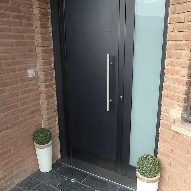 Una puerta de entrada negra con una manija alta de plata y un panel de vidrio esmerilado, dentro de un exterior de ladrillo, con vegetación en macetas a ambos lados.