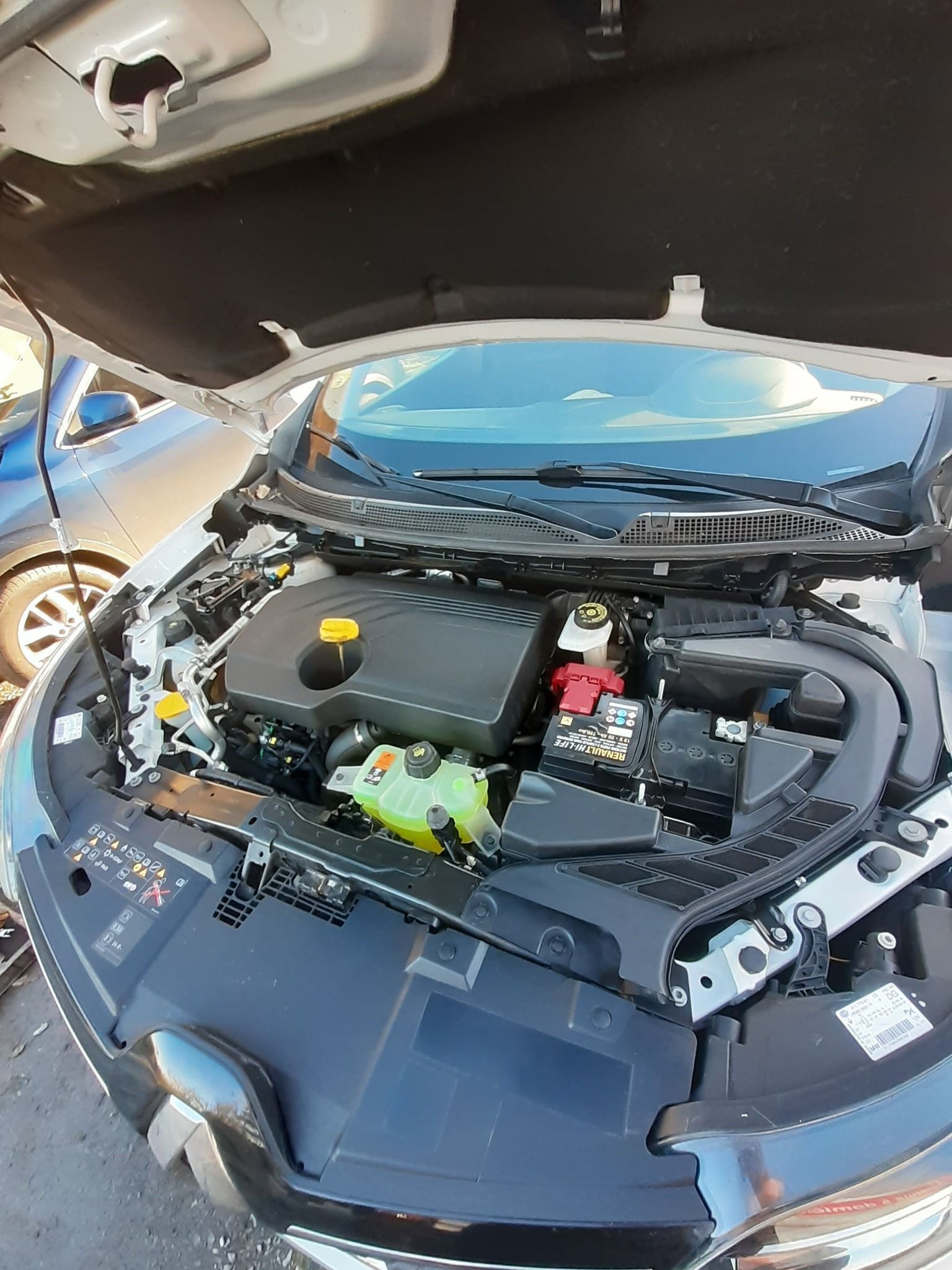 Compartiment du moteur de la voiture, capot ouvert, laissant apparaître les composants du moteur et la batterie.