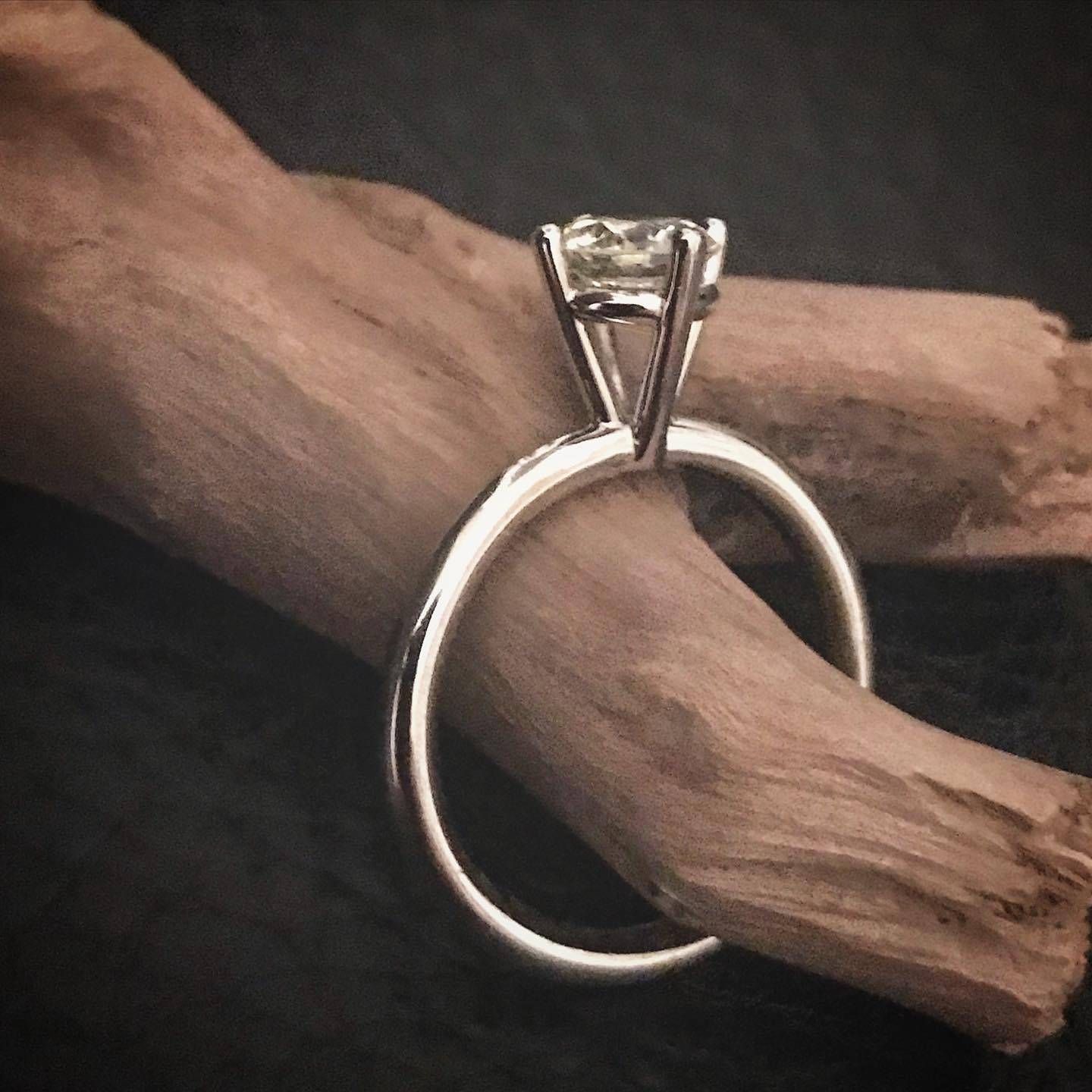 Ein Diamantring hängt an einem Holzast; die Ringschiene ist aus Silber und hebt sich vom dunklen Hintergrund ab.