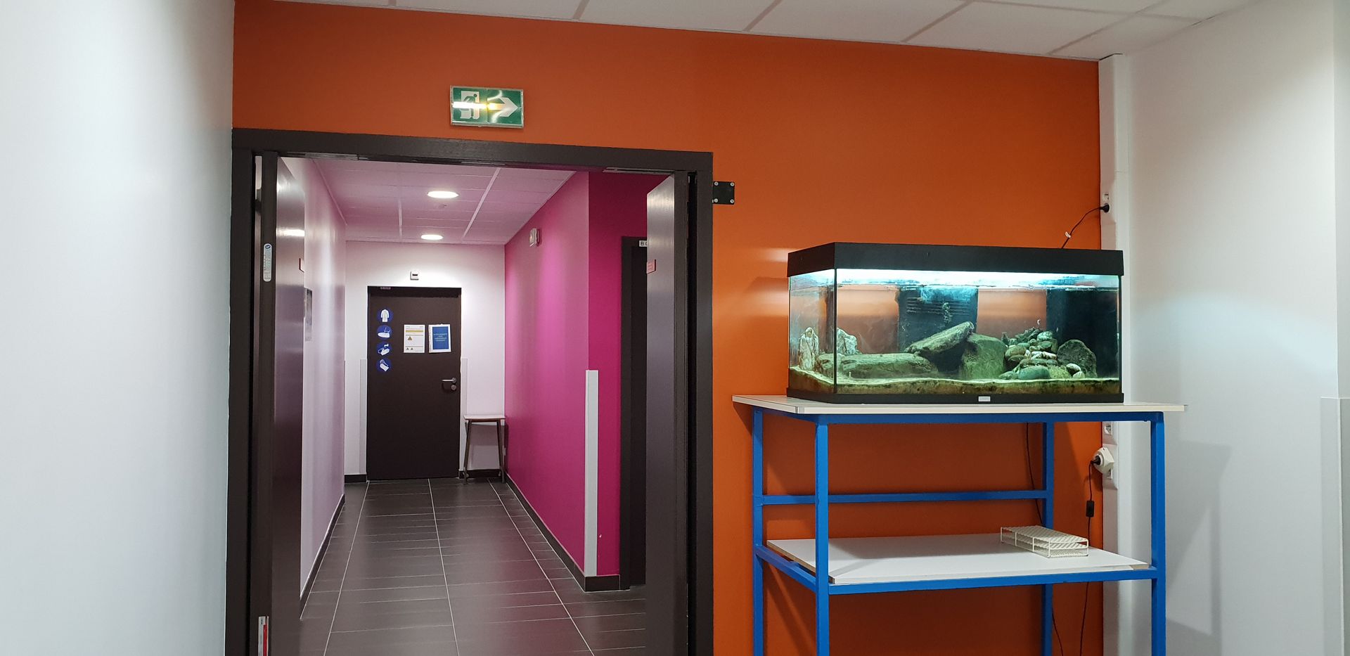 Peinture dans une école d'études supérieures