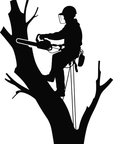 Silhouette d'un arboriste dans un arbre, utilisant une tronçonneuse. Il porte un casque et un équipement de sécurité.