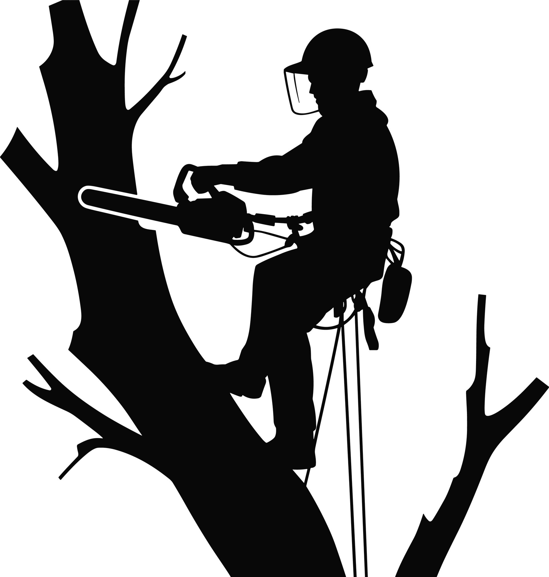 Silhouette d'un ouvrier dans un arbre, portant un casque et utilisant une tronçonneuse.