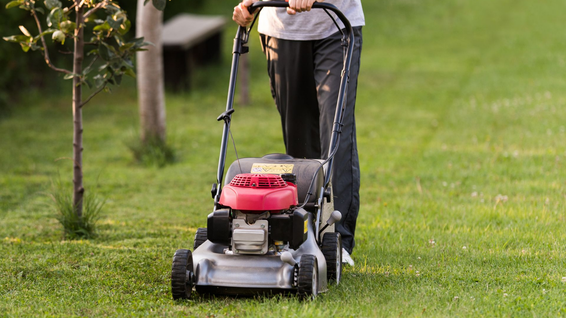 Une personne tond une pelouse verte avec une tondeuse à gazon rouge et argentée par une journée ensoleillée.