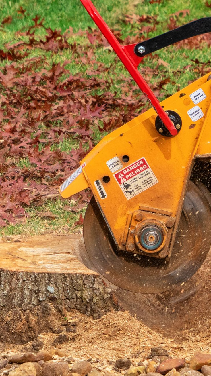 Dessoucheuse enlevant une souche d'arbre ; machine jaune avec poignée rouge, sciure volante.