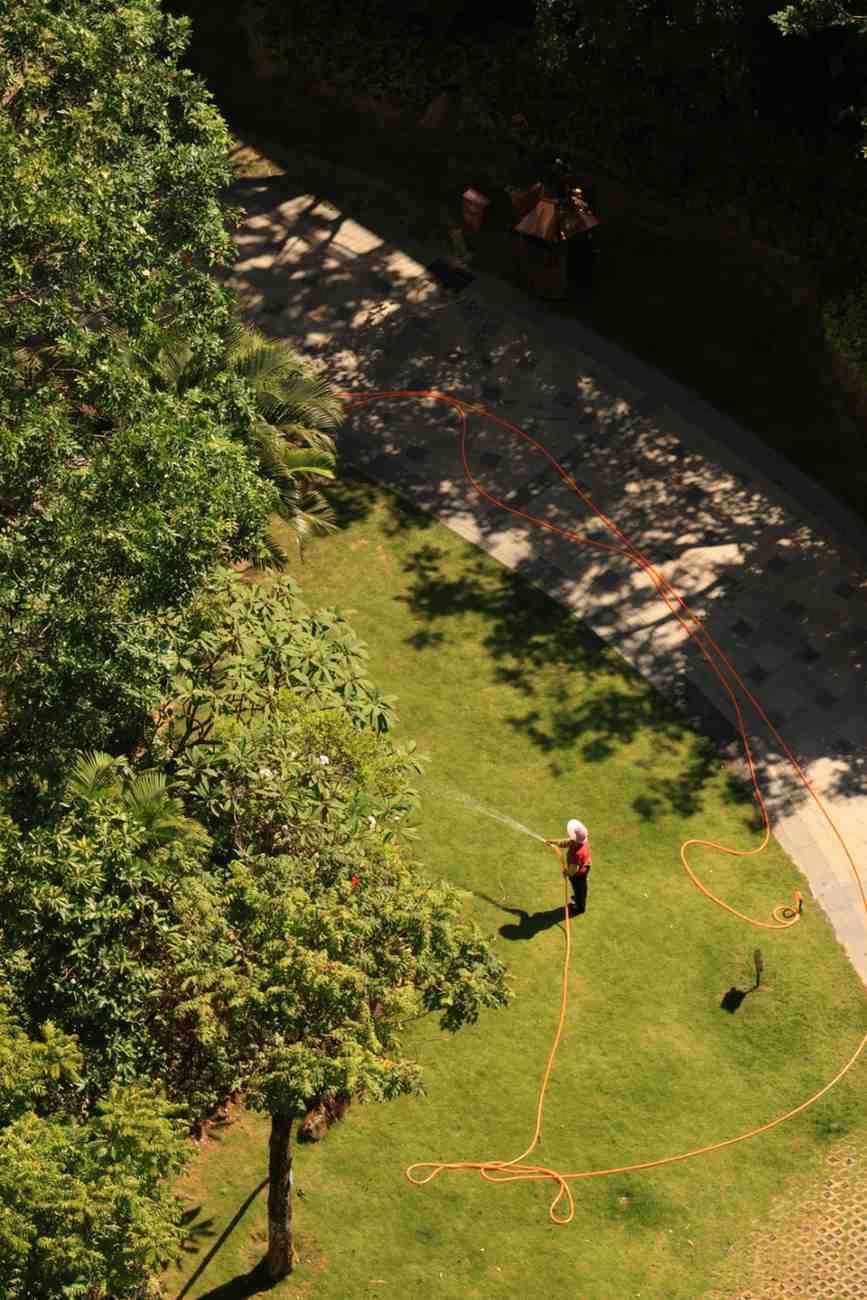 Una persona con una camisa roja está de pie sobre un césped junto a un sendero