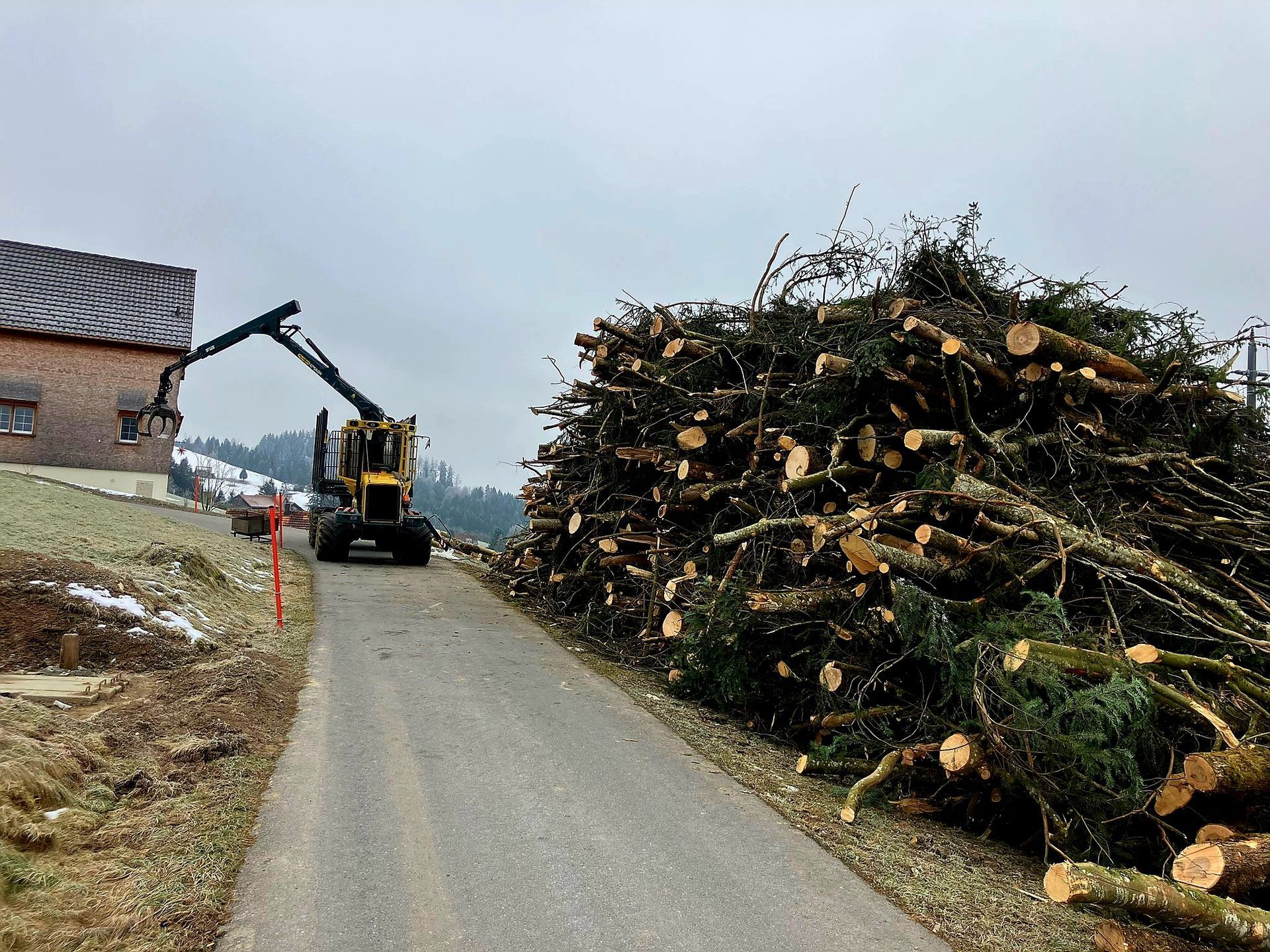 Eine Holzfällmaschine lädt gefällte Bäume auf einen grossen Haufen neben einer Strasse in ländlicher Umgebung.