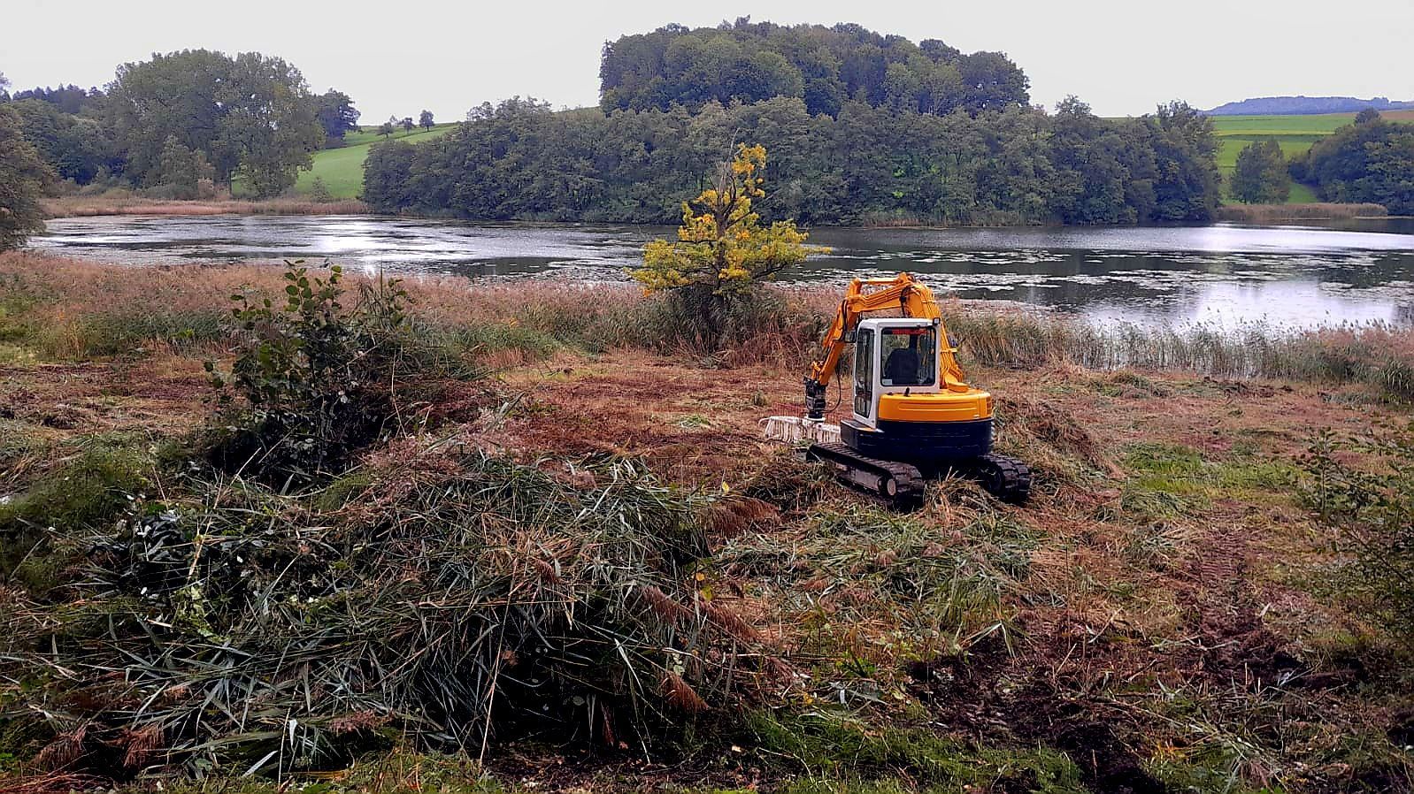 Ein gelber Bagger rodet Gestrüpp in der Nähe eines Sees, der von Vegetation und Bäumen umgeben ist.