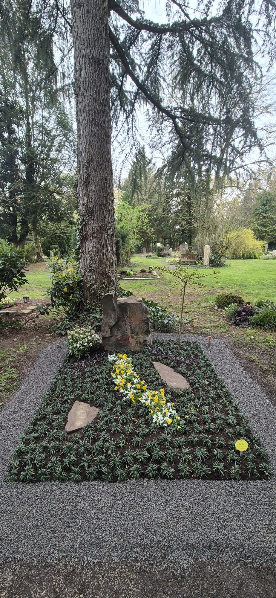 Moosbewachsener Baumstumpf als Gedenkstätte auf einem Friedhof, mit Steinen und Blumen unter einem großen Baum.