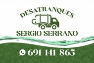 Logotipo de Desatranques Sergio Serrano con un icono verde de cami&oacute;n de remolque y el n&uacute;mero de WhatsApp 691 141 865