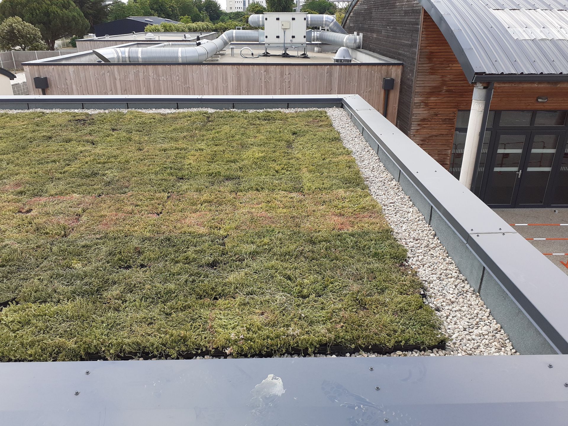 Végétalisation pré-cultivée en toiture