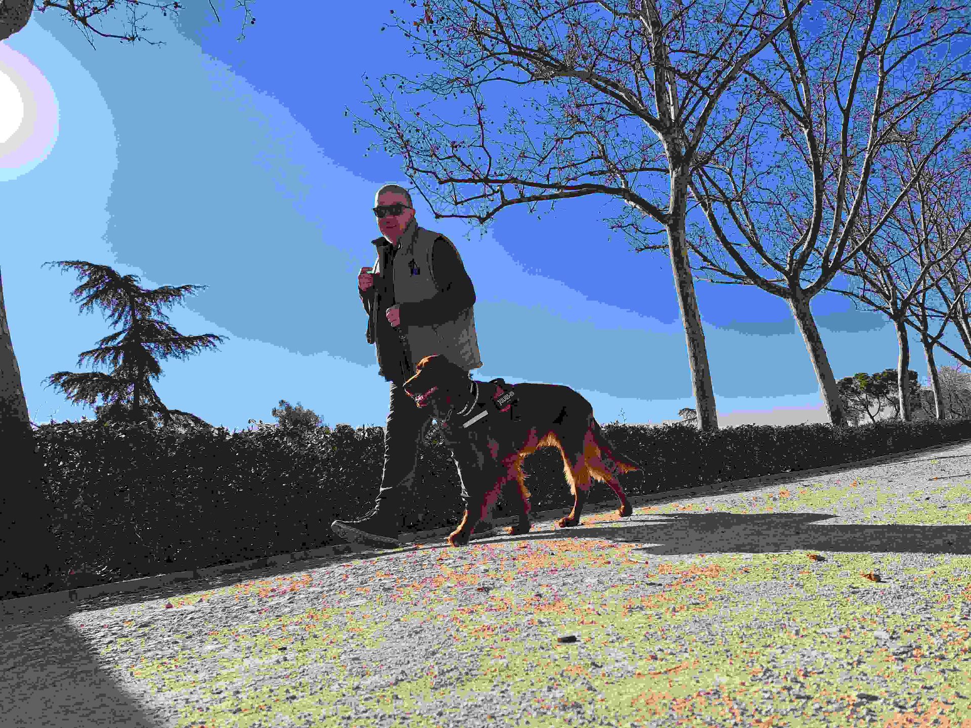 Una persona de pie con su perro en un sendero soleado junto a árboles desnudos y un cielo azul.