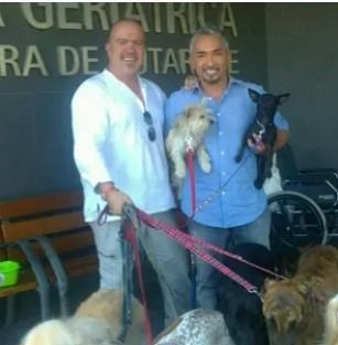 Dos hombres sujetando perros pequeños con correas frente a un edificio relacionado con mascotas, con varios perros más grandes cerca.