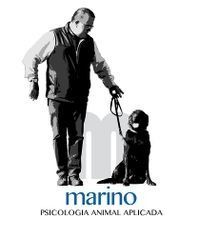 Hombre paseando a un perro negro con correa; el texto dice “marino” y “psicología animal aplicada”.