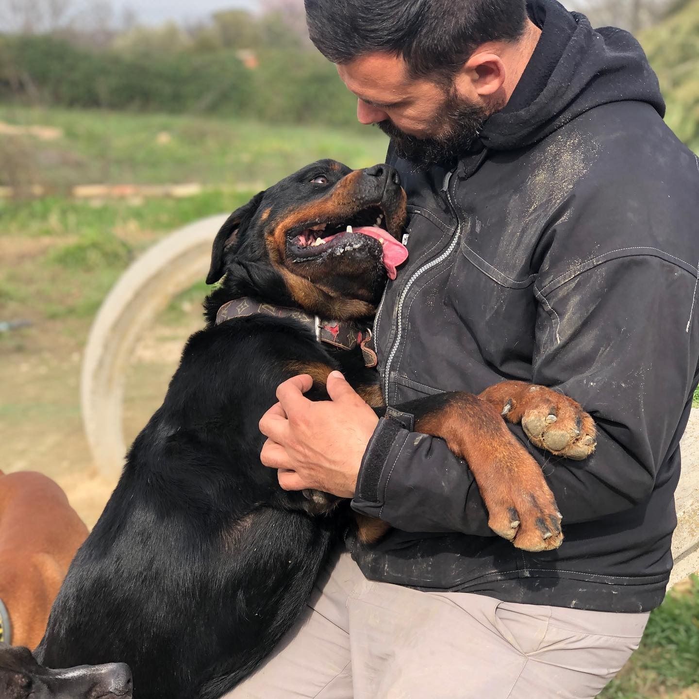 Un hombre con una sudadera negra abraza a un perro grande de color negro y marrón al aire libre, en un sendero cubierto de hierba.