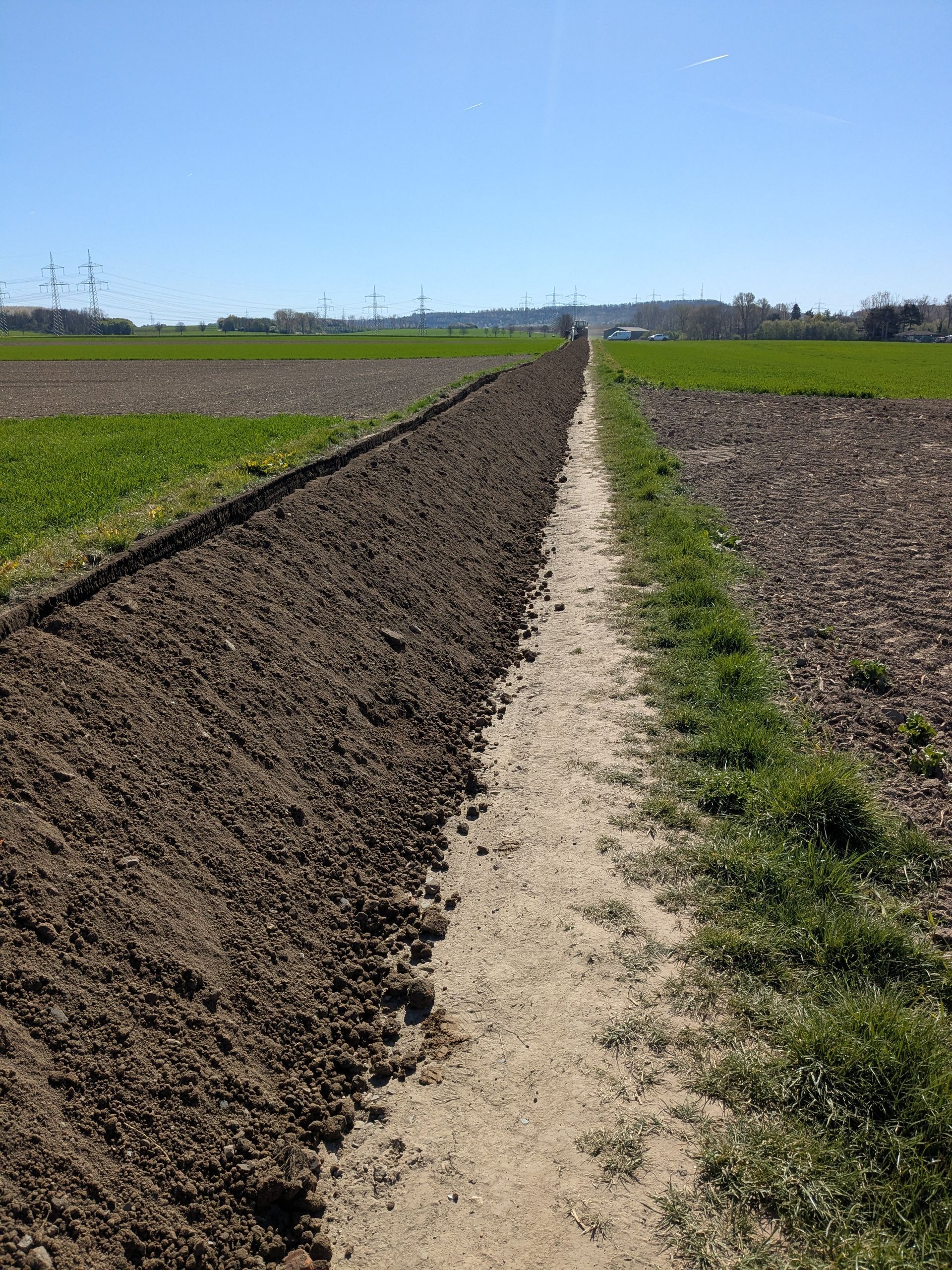 Ein Feldweg, der durch ein Feld aus Erde und Gras führt