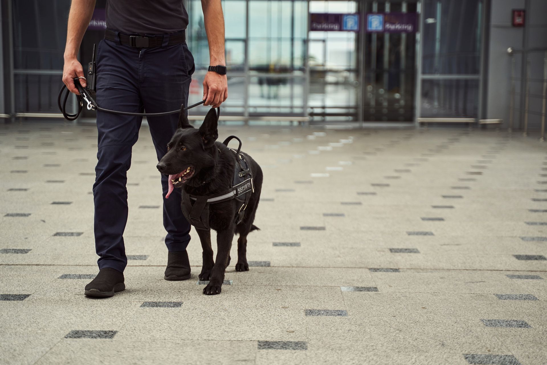 Un maître-chien en uniforme promène un chien de sécurité K9 noir dans un terminal ou un espace public intérieur au sol carrelé.