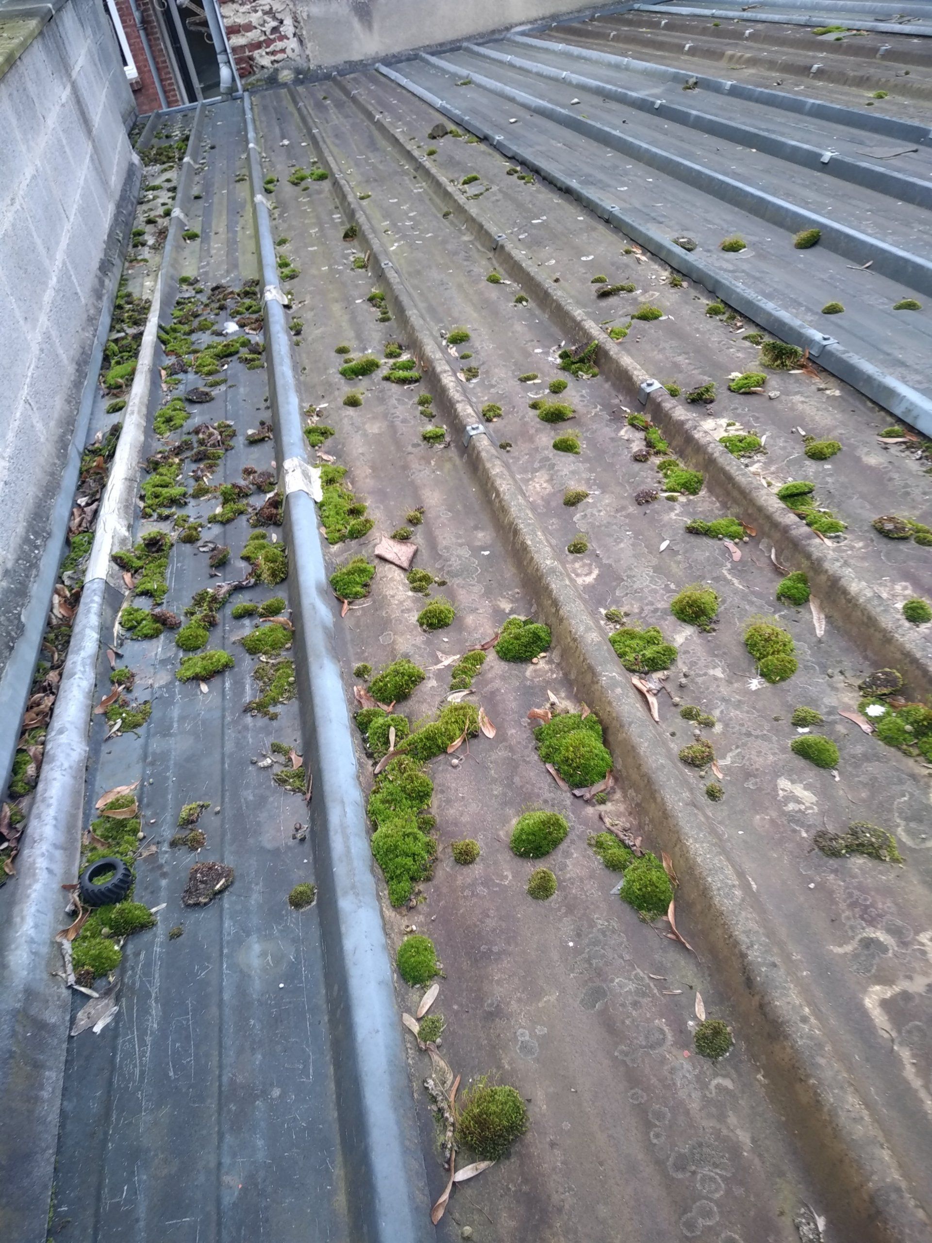 Démoussage de toiture