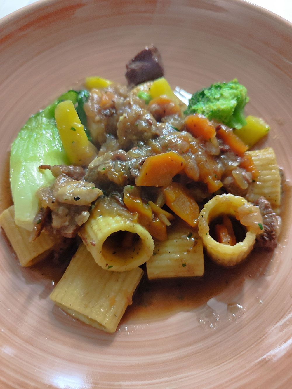 Nudelgericht mit Rigatoni, Gemüse (Brokkoli, Karotten) und Fleisch in brauner Sauce.