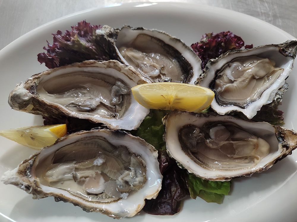 Austern auf einem weißen Teller, serviert mit Zitronenspalten und Gemüse.