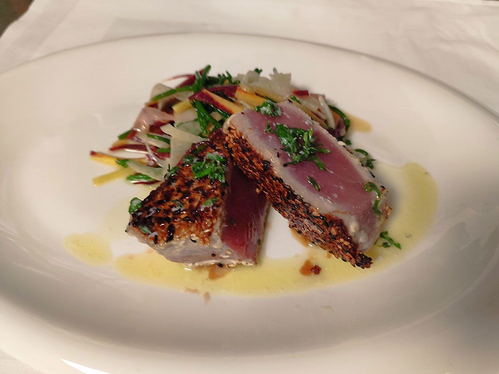 Gebratene Thunfischsteaks mit buntem Gemüsesalat, garniert mit Kräutern und Öl, auf einem weißen Teller.