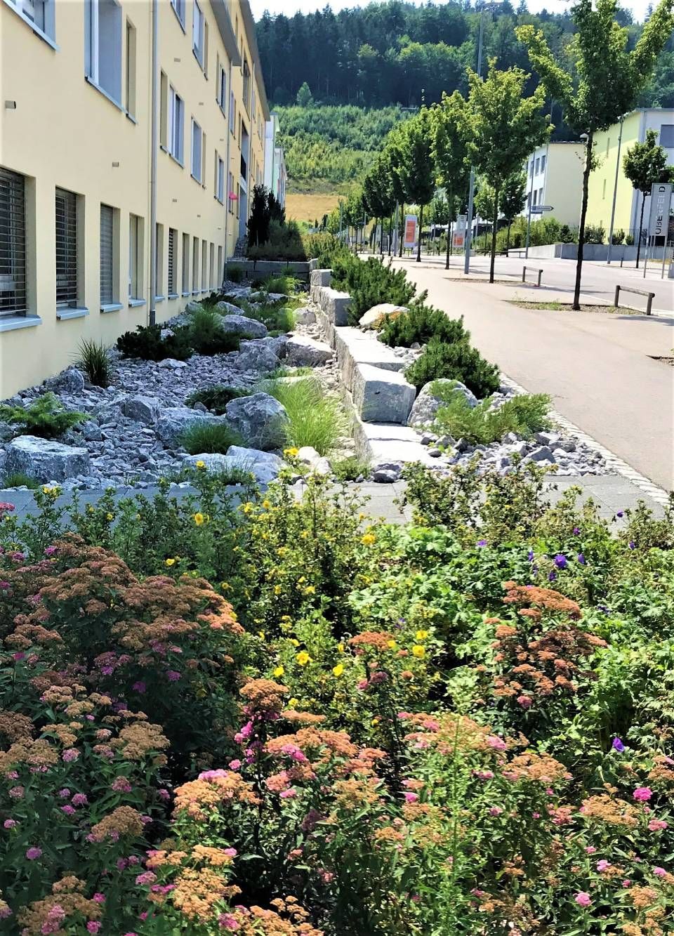 Arifi Gartenbau GmbH