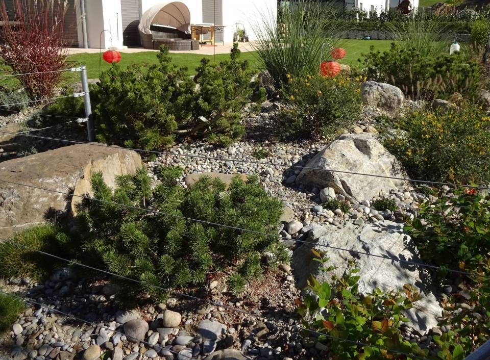 Arifi Gartenbau GmbH