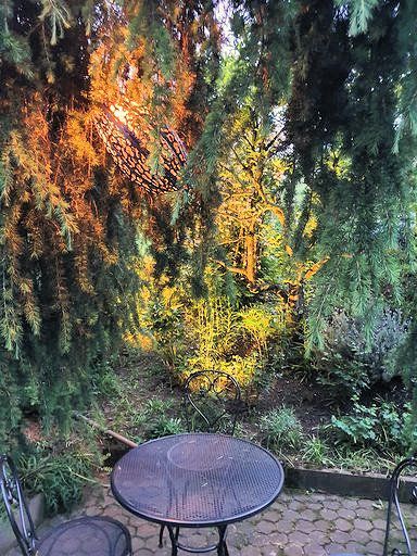 Ein Tisch und Stühle stehen auf einer Terrasse unter einem Baum.