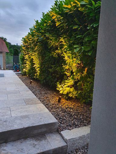 Ein Zaun mit vielen Bäumen und Büschen drumherum