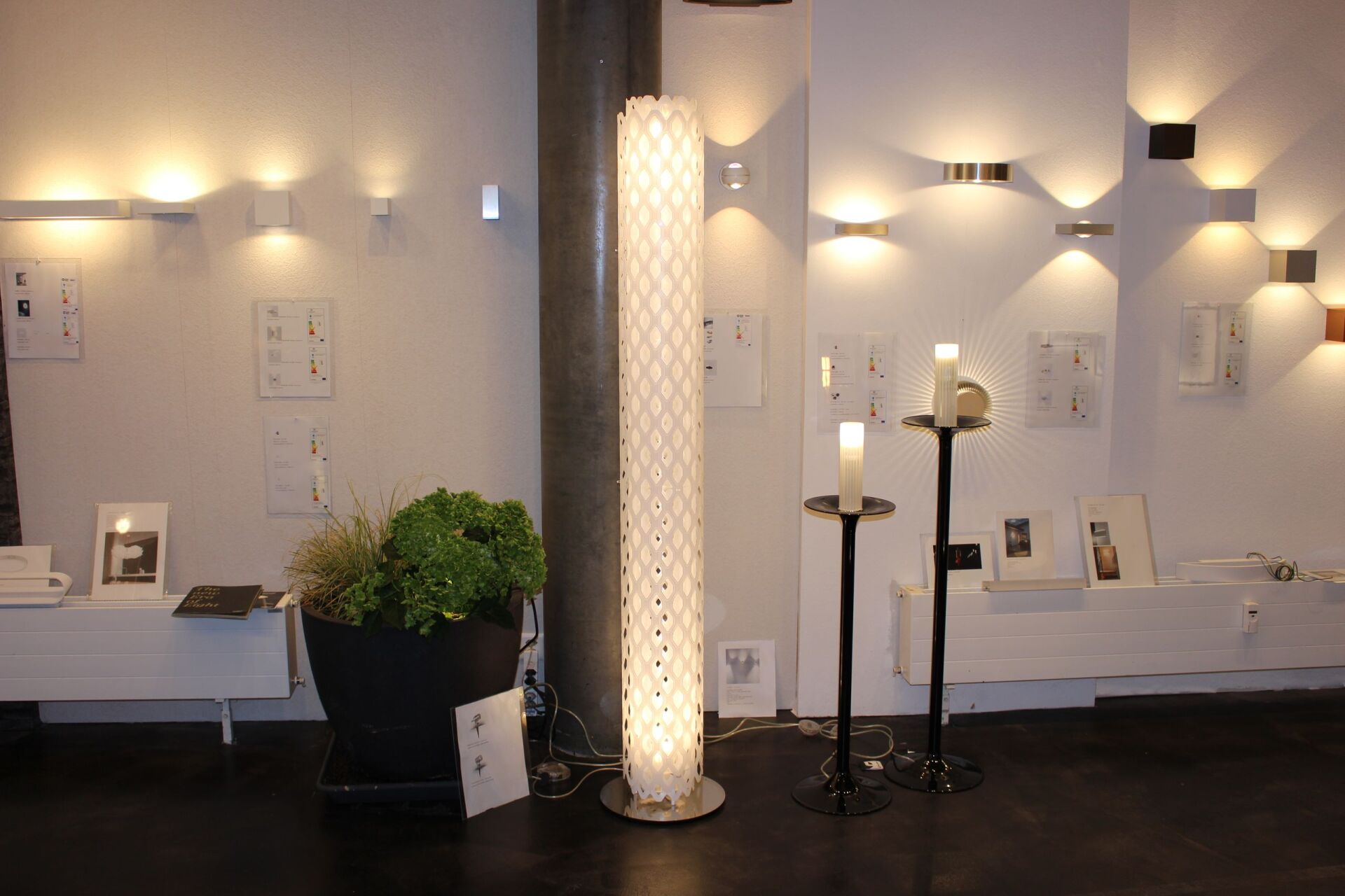 Ein Raum mit einer Pflanze und einer Lampe auf dem Boden